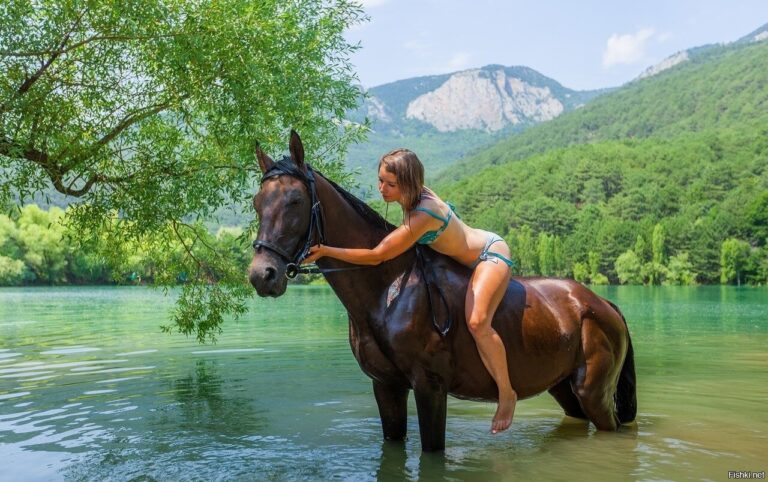 🐎 Конные прогулки в Ялте от клуба «Ай-Василь»