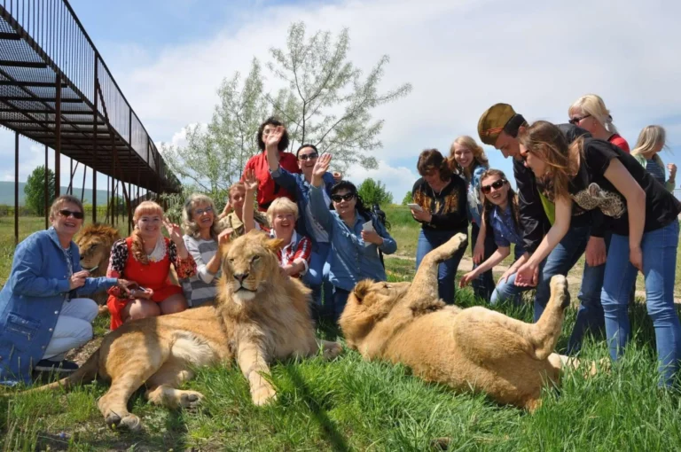 Экскурсия: 🦁 САФАРИ В КРЫМУ: ДЕНЬ СО ЛЬВАМИ В ПАРКЕ «ТАЙГАН»